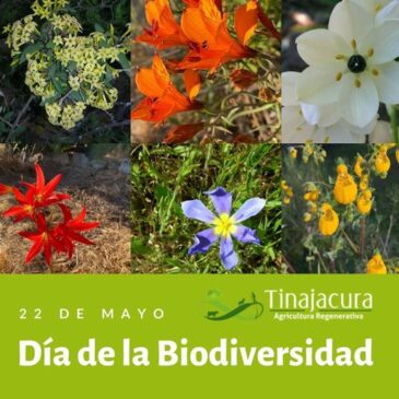Dia de la Biodiversidad
